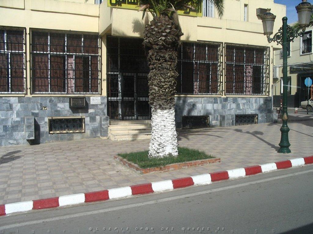 ORAN MAI 2008 2969 Tlemcen.jpg